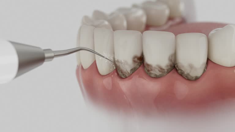Reliable Dental contractor in New Windsor, MD by Dentist Open Now